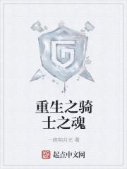 重生之骑士崛起