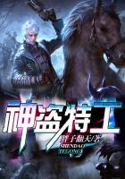 神盗特工全文免费阅读