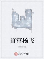 首富杨飞免费全文阅读