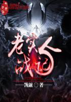 老实人12全部完结