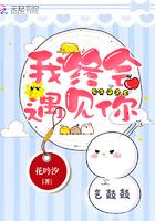 我终会遇见你杜宣达视频