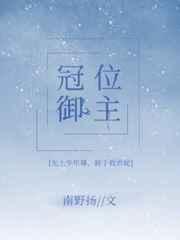 冠位御主争夺战