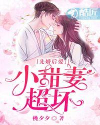 小甜妻无限宠爱
