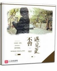 不曾遇见爱上你
