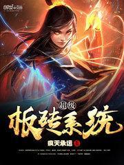 超级板砖系统全集免费播放