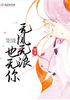 无风无浪是词语吗