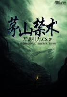 茅山禁术有哪些历史背景?