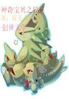 神奇宝贝之日月