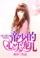 帝少惹不得免费阅读