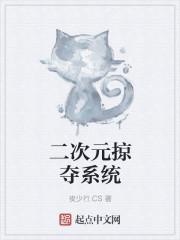 二次元系统