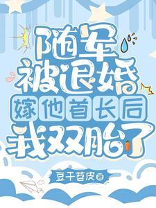 海岛随军被退婚后嫁他首长躺赢免费阅读作者豆干苕皮