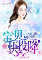 总裁boss太嚣张宝贝要乖