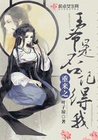 重生之王爷请走开