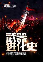 武器进化史破解版