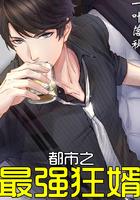 都市最强狂婿全文免费阅读