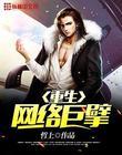 重生之网络大享