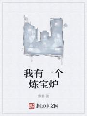 我有一个炼丹炉