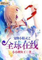 宠物小精灵之全球在线女主