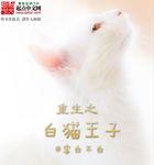 白猫王子的故事
