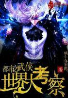 都市武侠世界大考察