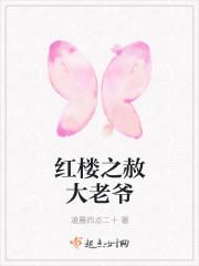 红楼之赦大老爷是谁