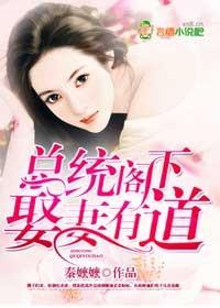 总统阁下的单身前妻