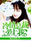 冷情总裁爱上我免费阅读