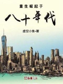 重生崛起于80年代