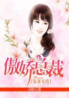 傲娇总裁宠妻无度颜汐落乔陌漓