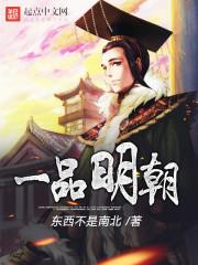 明朝一品官员