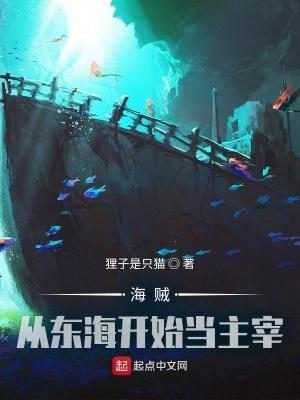 海贼来自东海的少年