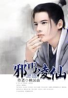 邪丐凌仙在线阅读