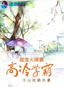 高冷学霸的宠文