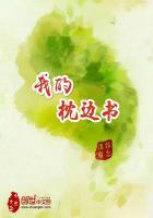 我的枕边书作文500字