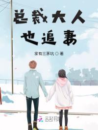 总裁大人也追星