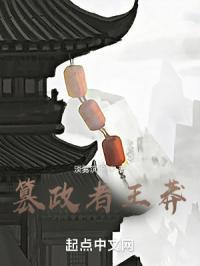 王莽篡政哪个电视剧