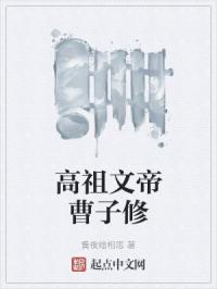 大魏高祖文帝b站up主