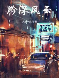 黔军风云上下册