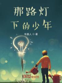 那路灯下的恋人是什么歌