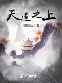 儒圣顺着网线打人的日常TXT