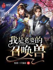 我是老婆的召唤兽免费阅读