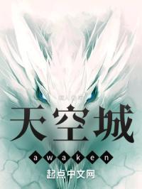 天空城官方网站