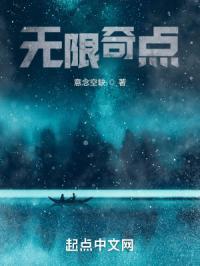 无限奇点公司