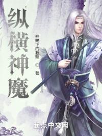 纵横神学是什么书