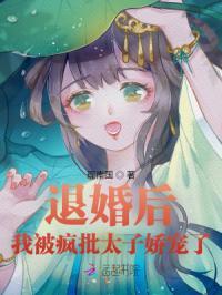 被退婚后的太子妃