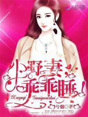 小妻乖乖就寝免费阅读