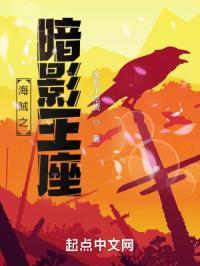 海贼之暗影王座百度百科
