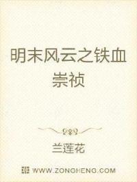 明末风云之铁血祟征