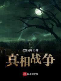 战争真相德军攻略