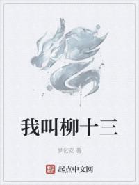 柳十三半是什么意思